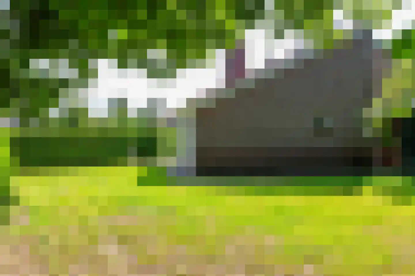 Het Zwiggelterveld 153 Zwiggelte thumbnail 5