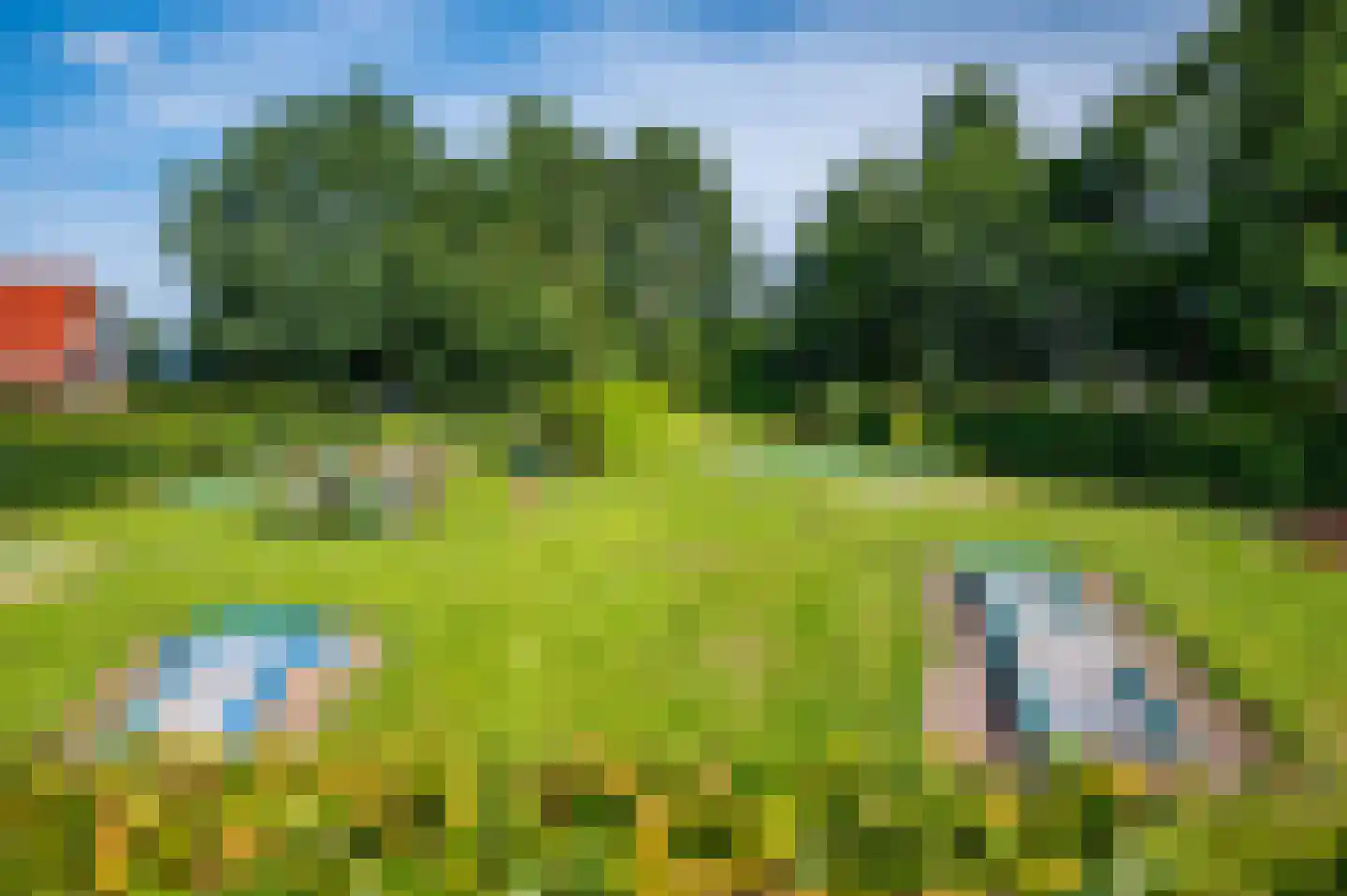 Het Zwiggelterveld 153 Zwiggelte thumbnail 50