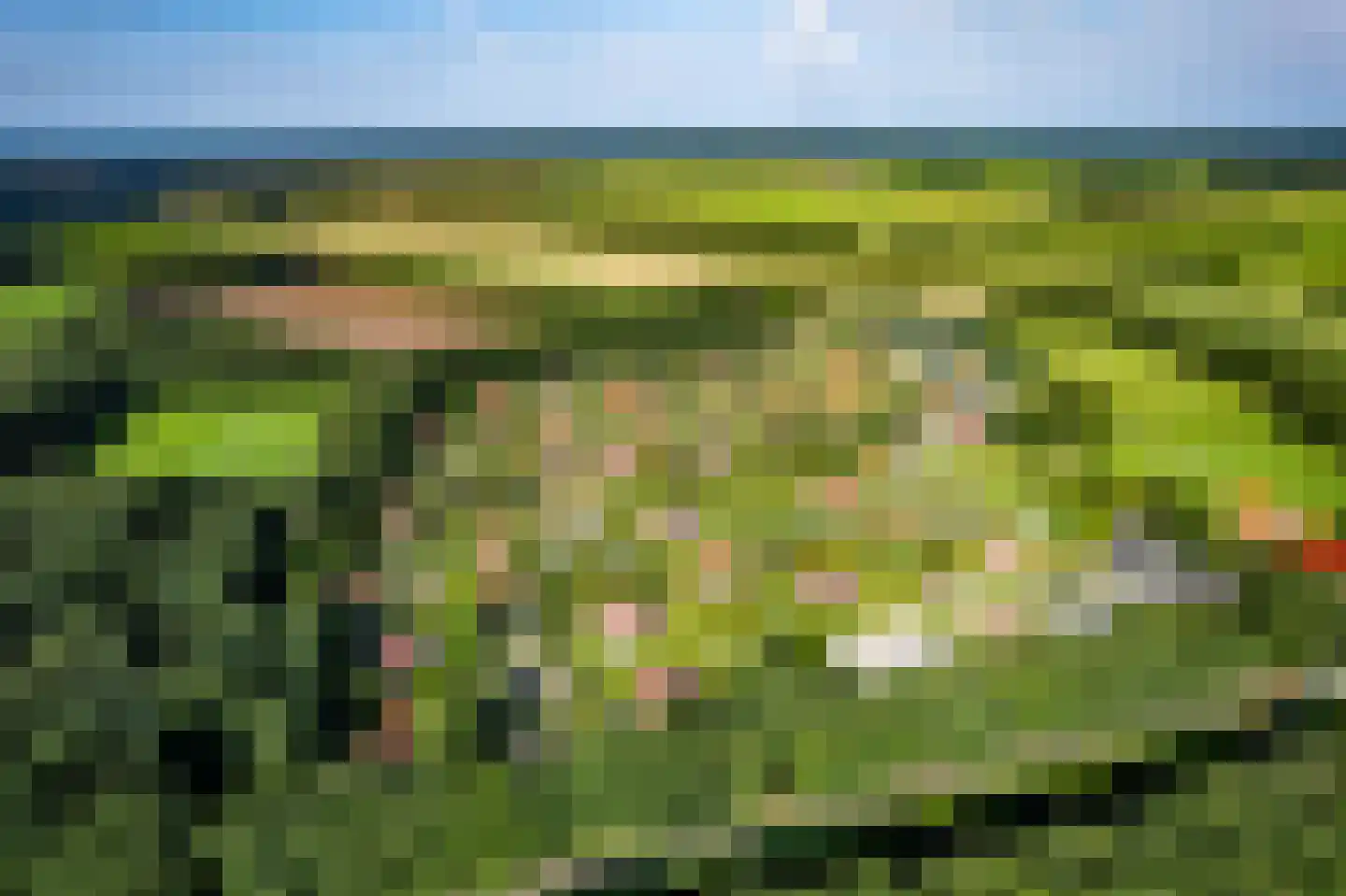 Het Zwiggelterveld 153 Zwiggelte thumbnail 51