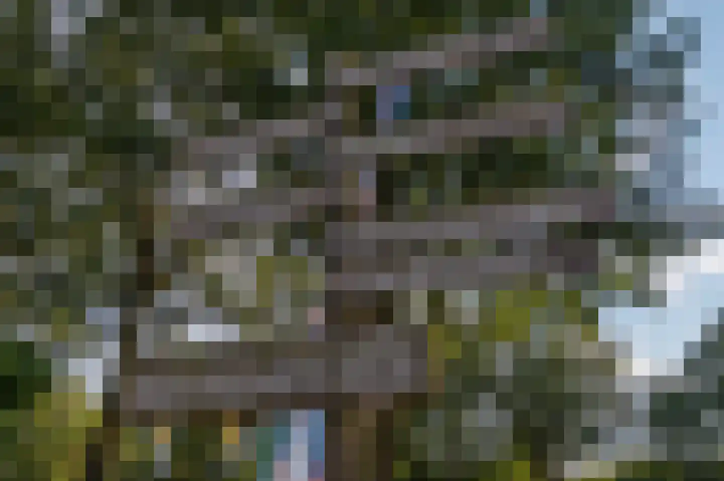 Het Zwiggelterveld 153 Zwiggelte thumbnail 54