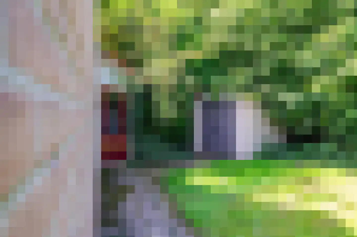 Het Zwiggelterveld 153 Zwiggelte thumbnail 6