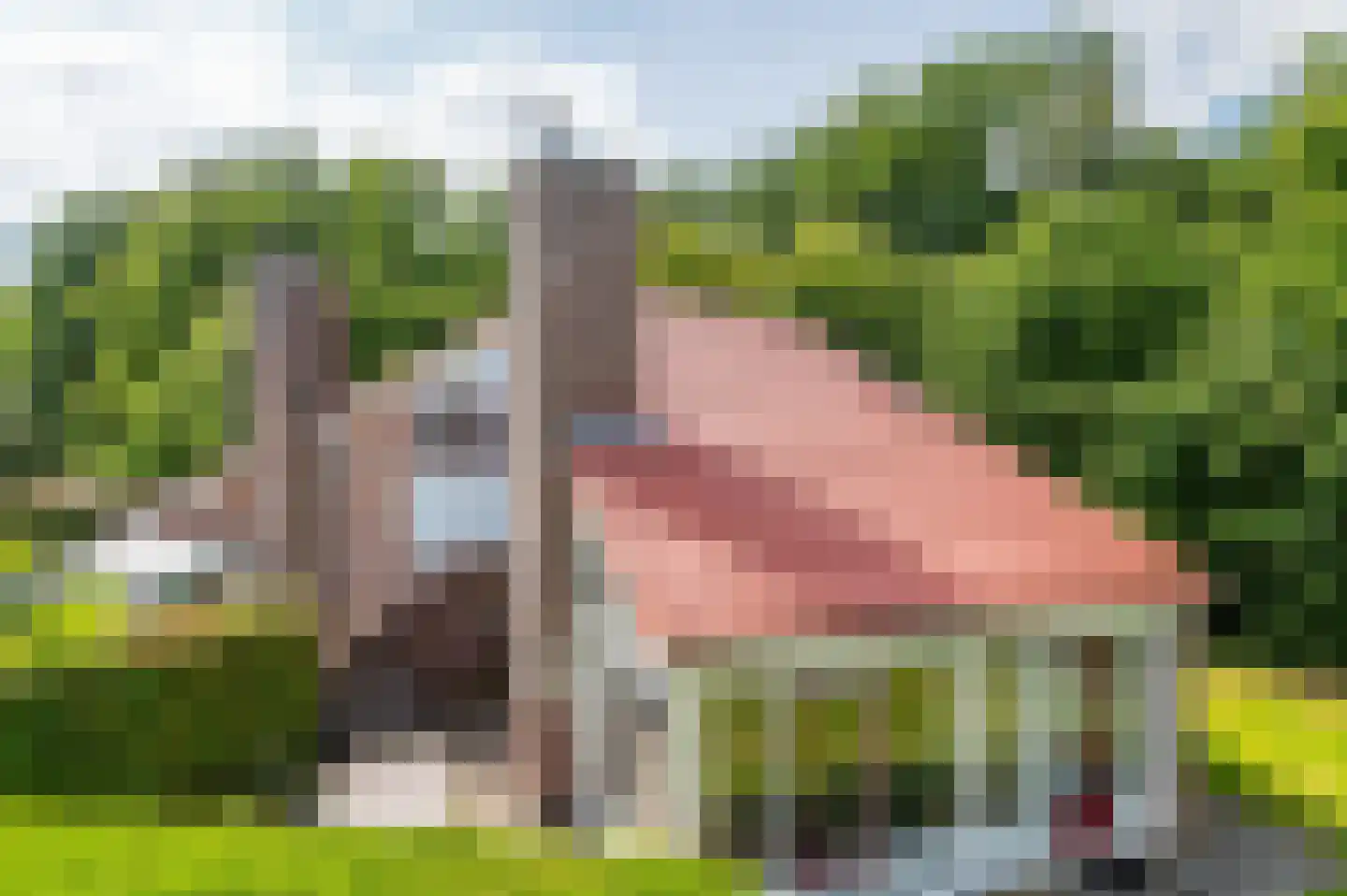 Het Zwiggelterveld 153 Zwiggelte thumbnail 8