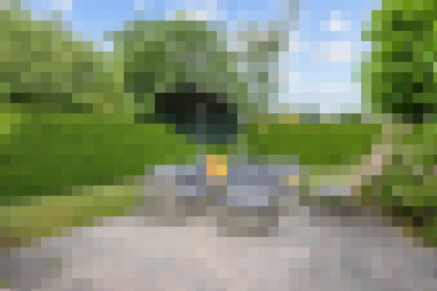 Het Zwiggelterveld 161 Zwiggelte thumbnail 17
