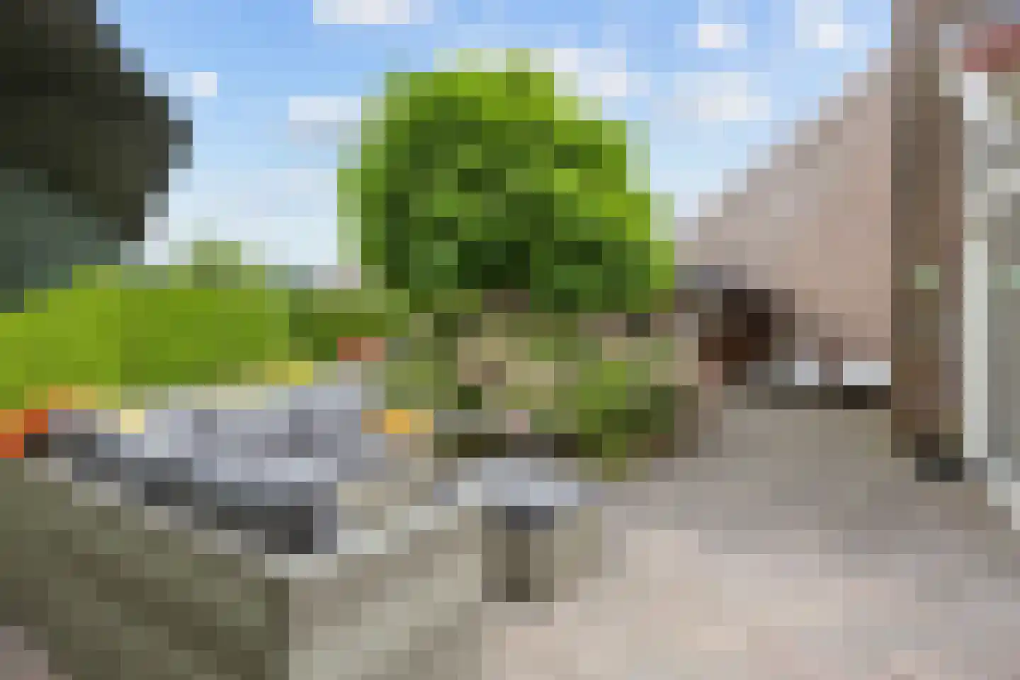 Het Zwiggelterveld 161 Zwiggelte thumbnail 18
