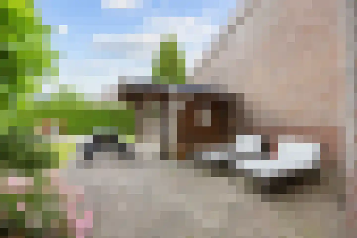 Het Zwiggelterveld 161 Zwiggelte thumbnail 19