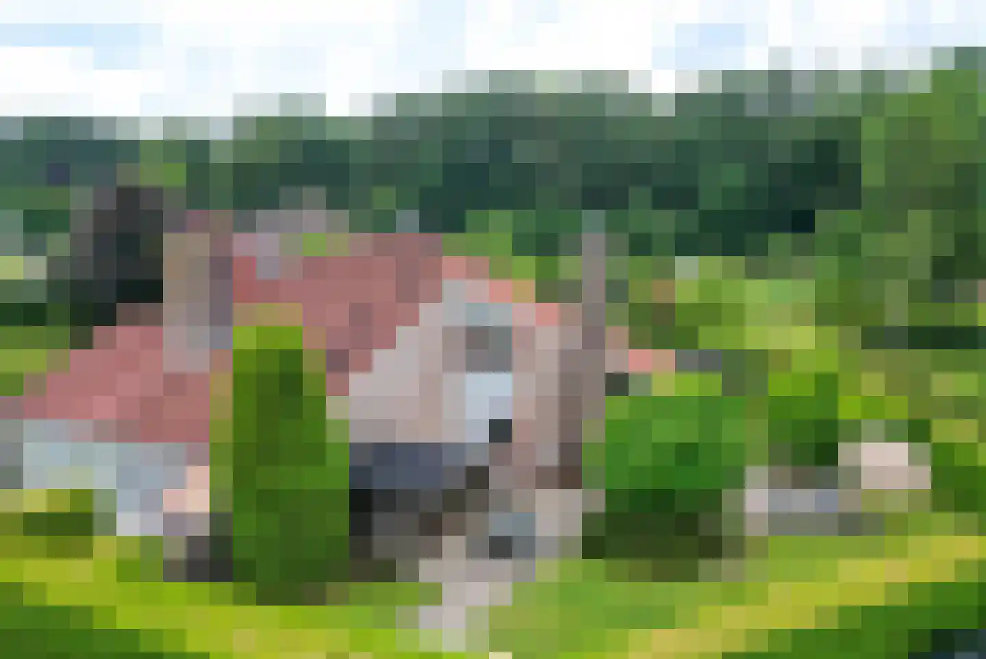 Het Zwiggelterveld 161 Zwiggelte thumbnail 22