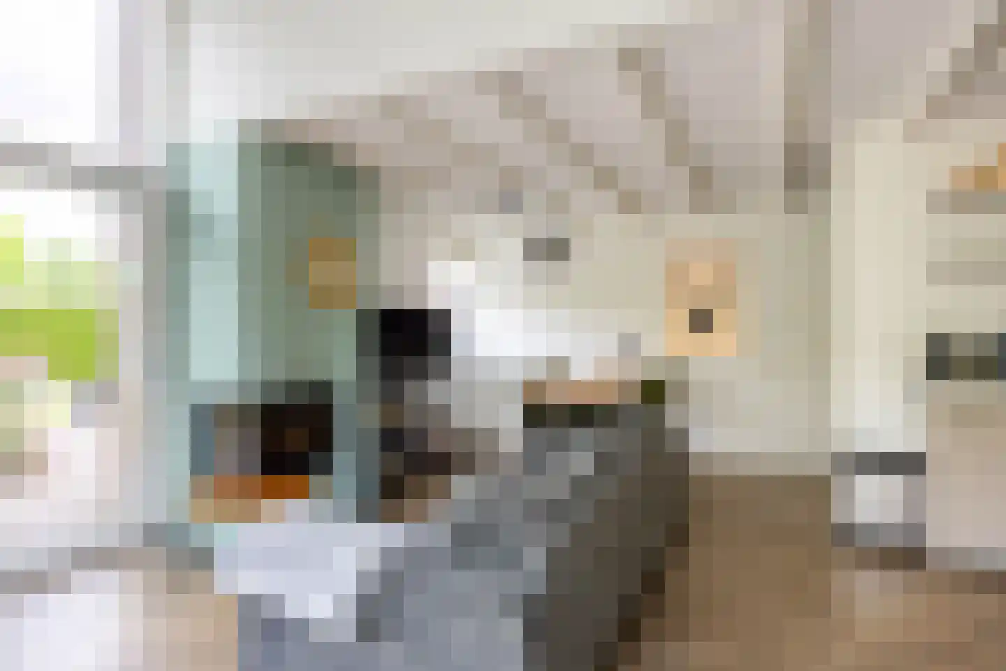 Het Zwiggelterveld 161 Zwiggelte thumbnail 7