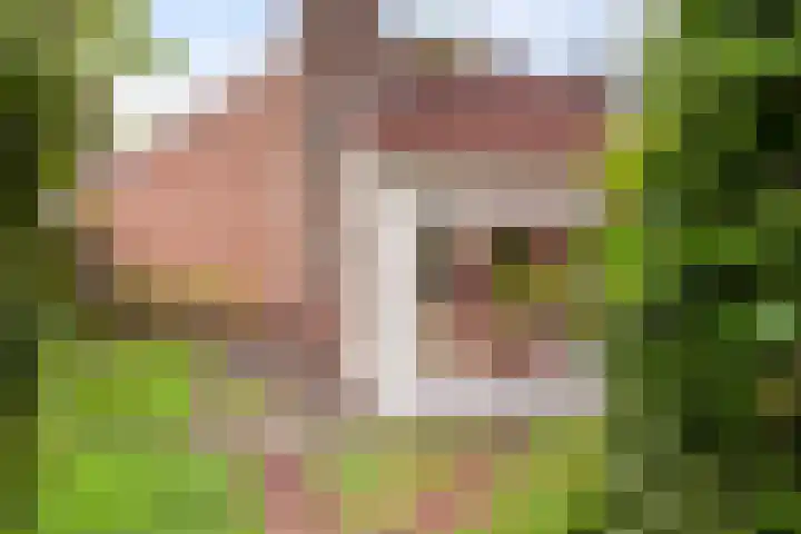 Het Zwiggelterveld 164 Zwiggelte thumbnail 15