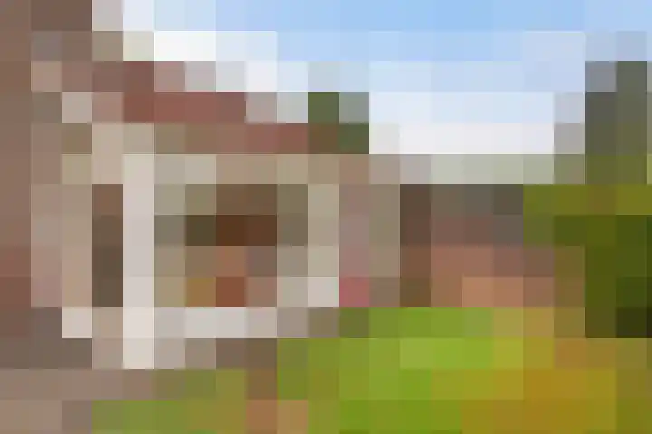 Het Zwiggelterveld 164 Zwiggelte thumbnail 16