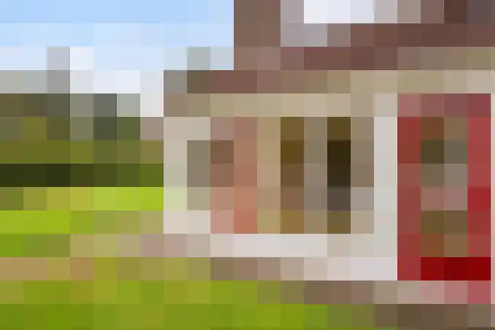 Het Zwiggelterveld 164 Zwiggelte thumbnail 18