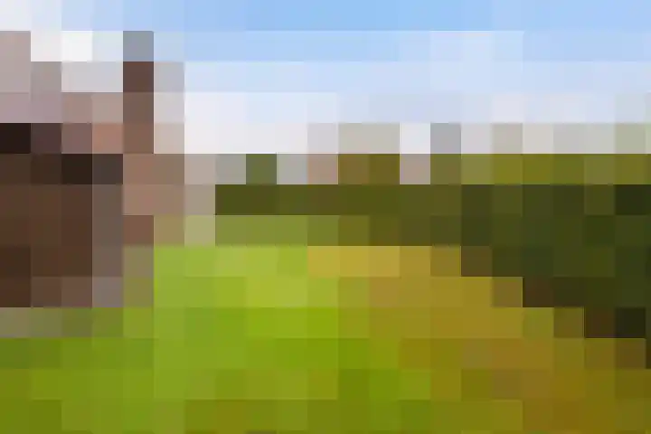 Het Zwiggelterveld 164 Zwiggelte thumbnail 19