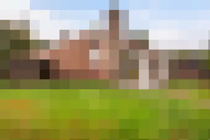 Het Zwiggelterveld 164 Zwiggelte foto 2
