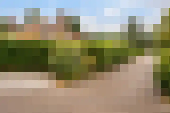 Het Zwiggelterveld 164 Zwiggelte thumbnail 22