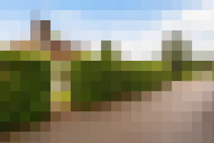 Het Zwiggelterveld 164 Zwiggelte thumbnail 23