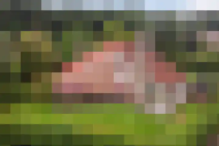 Het Zwiggelterveld 164 Zwiggelte thumbnail 26