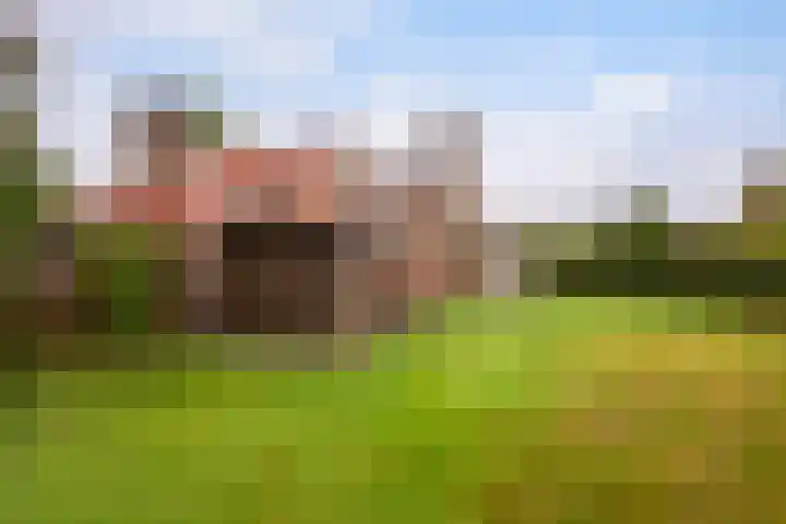 Het Zwiggelterveld 164 Zwiggelte foto 3