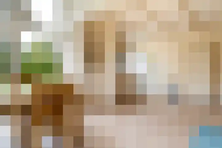 Het Zwiggelterveld 164 Zwiggelte thumbnail 5