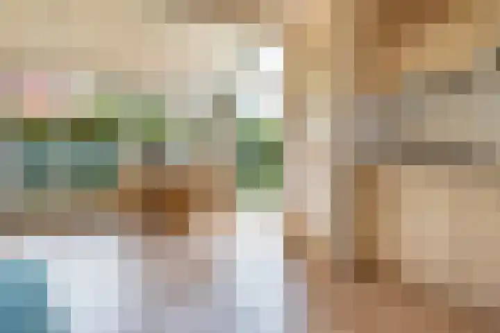 Het Zwiggelterveld 164 Zwiggelte thumbnail 6