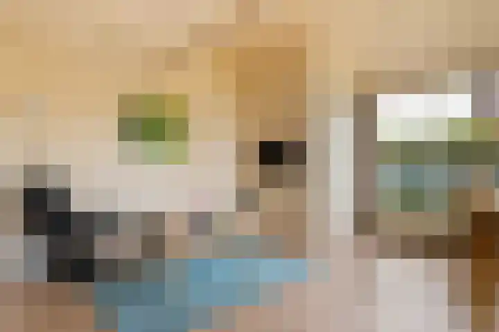 Het Zwiggelterveld 164 Zwiggelte thumbnail 8