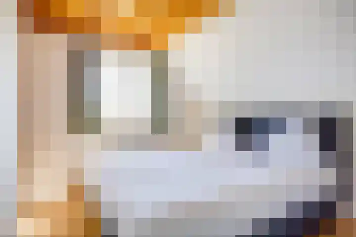 Het Zwiggelterveld 41 Zwiggelte thumbnail 18