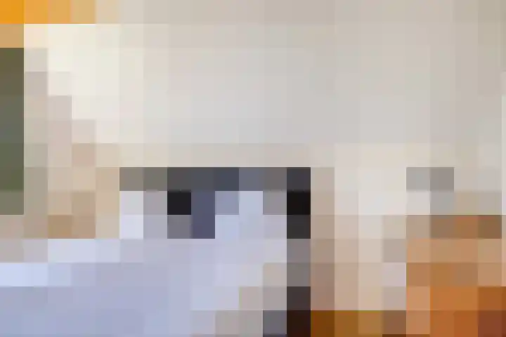 Het Zwiggelterveld 41 Zwiggelte thumbnail 19