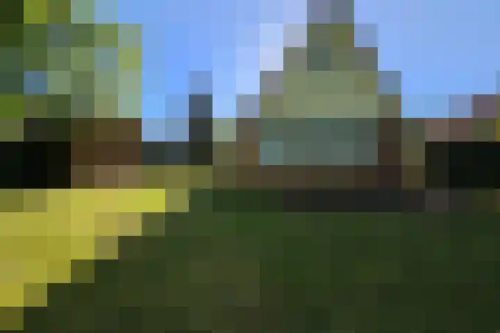 Het Zwiggelterveld 41 Zwiggelte foto 2