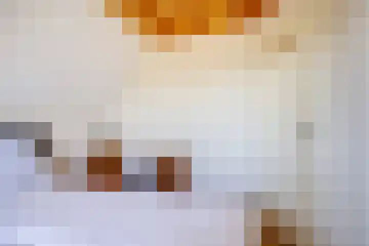 Het Zwiggelterveld 41 Zwiggelte thumbnail 20