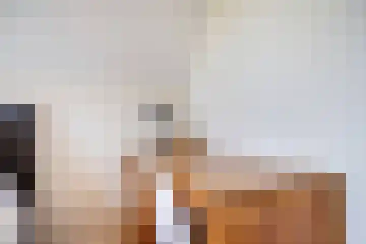 Het Zwiggelterveld 41 Zwiggelte thumbnail 21