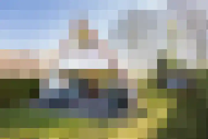 Het Zwiggelterveld 41 Zwiggelte thumbnail 22