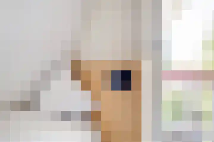 Het Zwiggelterveld 41 Zwiggelte thumbnail 26