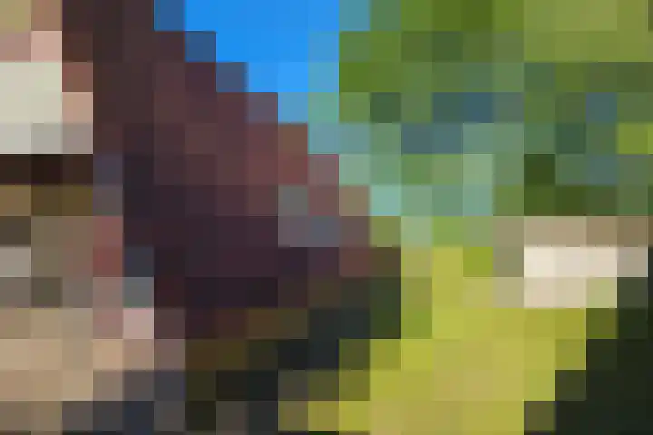 Het Zwiggelterveld 41 Zwiggelte thumbnail 27