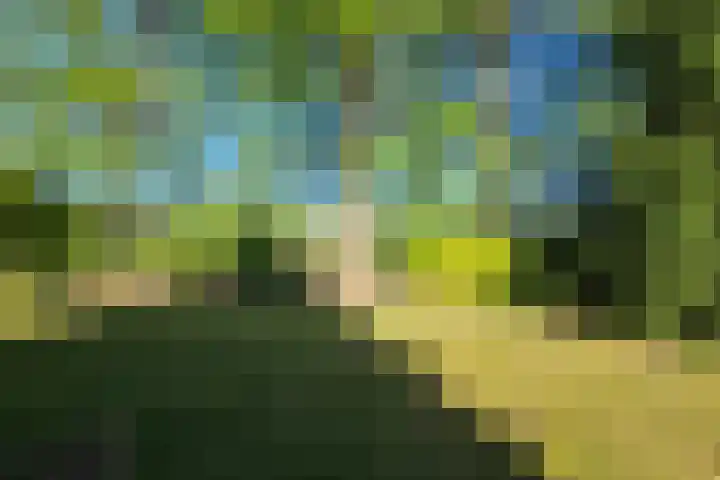 Het Zwiggelterveld 41 Zwiggelte thumbnail 29
