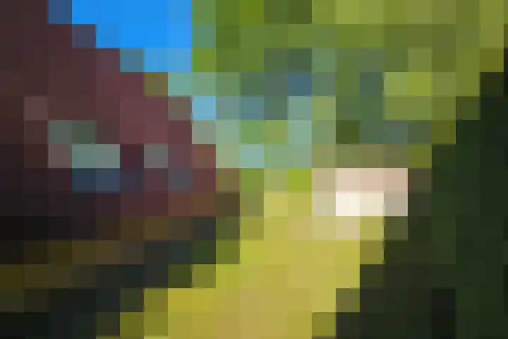 Het Zwiggelterveld 41 Zwiggelte thumbnail 32
