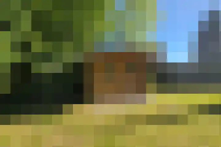 Het Zwiggelterveld 41 Zwiggelte thumbnail 33