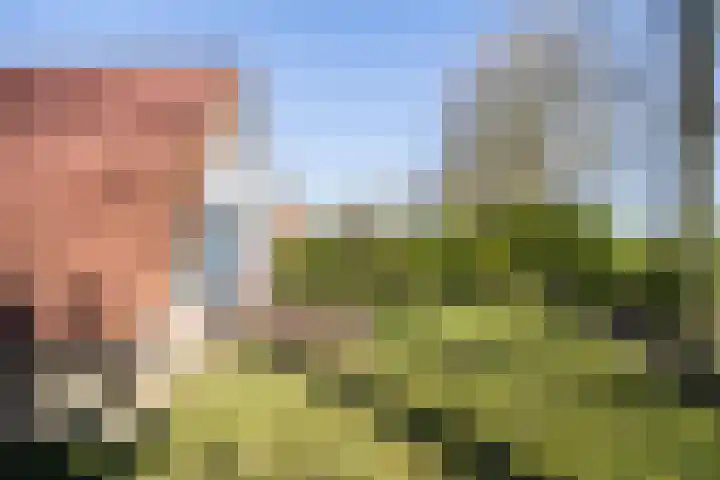 Het Zwiggelterveld 41 Zwiggelte thumbnail 34