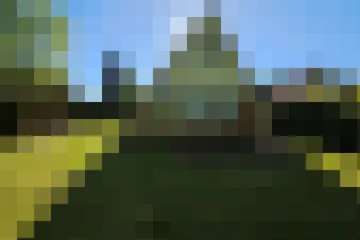 Het Zwiggelterveld 41 Zwiggelte thumbnail 35