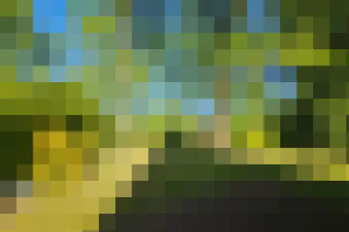 Het Zwiggelterveld 41 Zwiggelte thumbnail 36