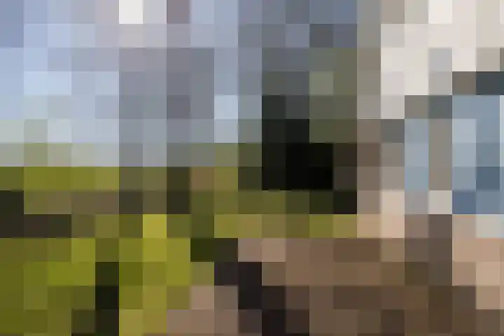 Het Zwiggelterveld 41 Zwiggelte thumbnail 37
