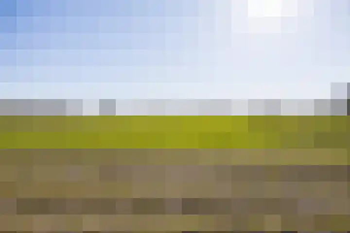 Het Zwiggelterveld 41 Zwiggelte thumbnail 38