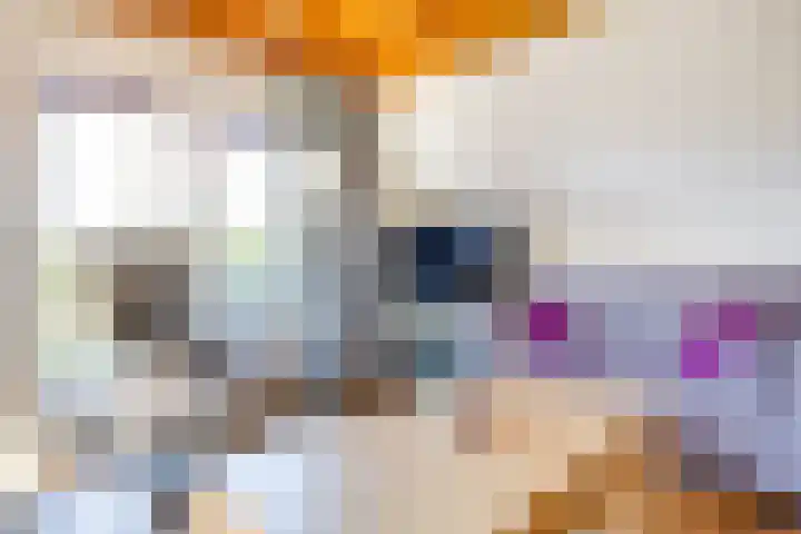 Het Zwiggelterveld 41 Zwiggelte thumbnail 4