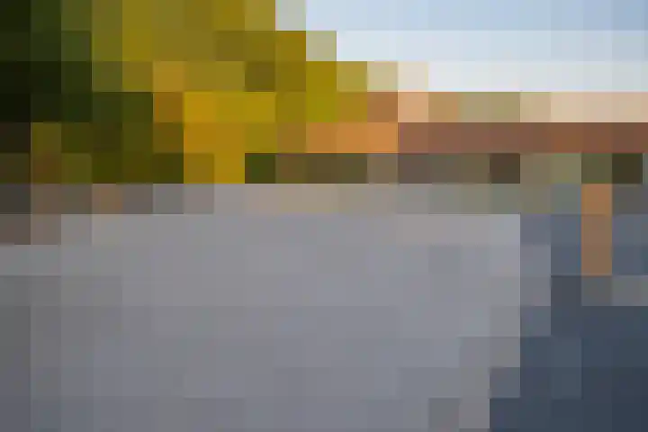 Het Zwiggelterveld 41 Zwiggelte thumbnail 43