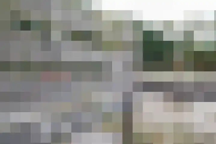 Het Zwiggelterveld 41 Zwiggelte thumbnail 46