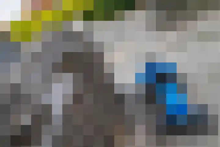 Het Zwiggelterveld 41 Zwiggelte thumbnail 47