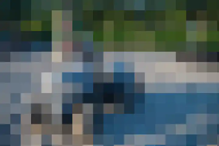 Het Zwiggelterveld 41 Zwiggelte thumbnail 48