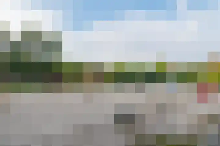 Het Zwiggelterveld 41 Zwiggelte thumbnail 49