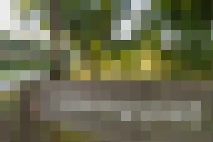 Het Zwiggelterveld 41 Zwiggelte thumbnail 50
