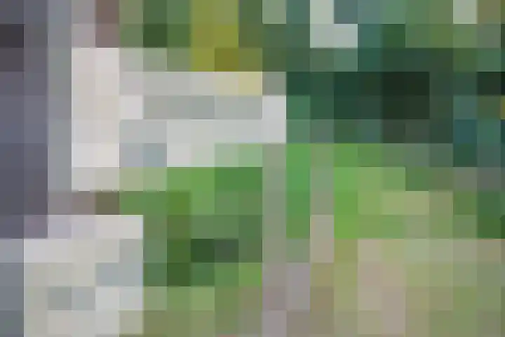 Het Zwiggelterveld 41 Zwiggelte thumbnail 51