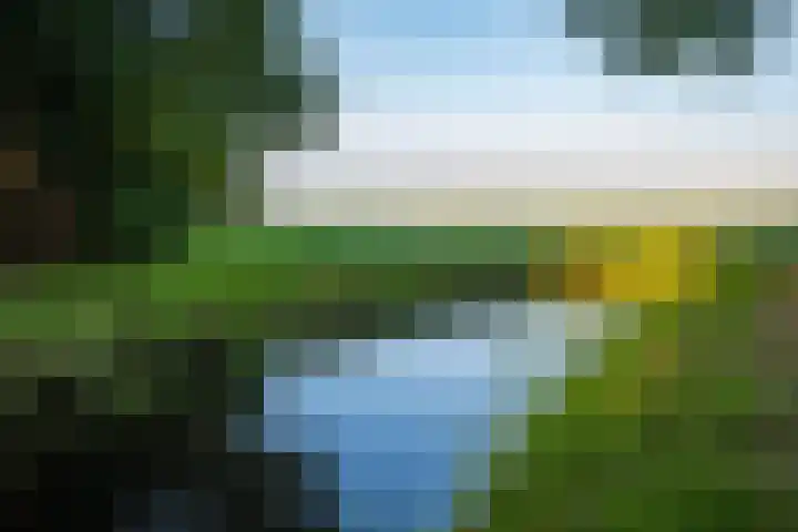 Het Zwiggelterveld 41 Zwiggelte thumbnail 52