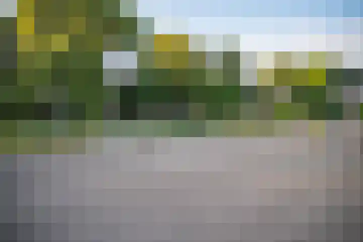 Het Zwiggelterveld 41 Zwiggelte thumbnail 54