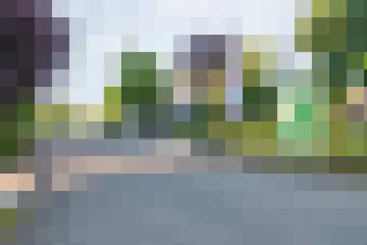 Het Zwiggelterveld 41 Zwiggelte thumbnail 55